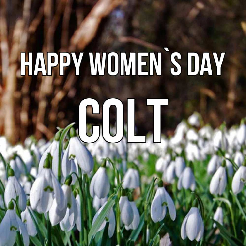 Greetings card с именем, Colt happy women`s day с подснежниками 1 Greetings with text for free download 